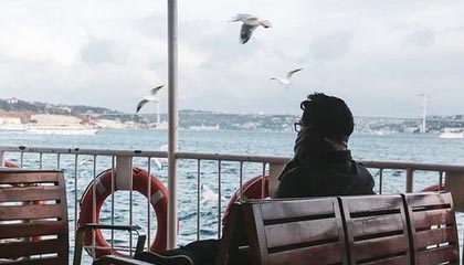 石家庄伴游招聘，风信子伴游网